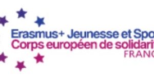 WhatsApp Image 2025-11-05 at 17.25.29 (1)